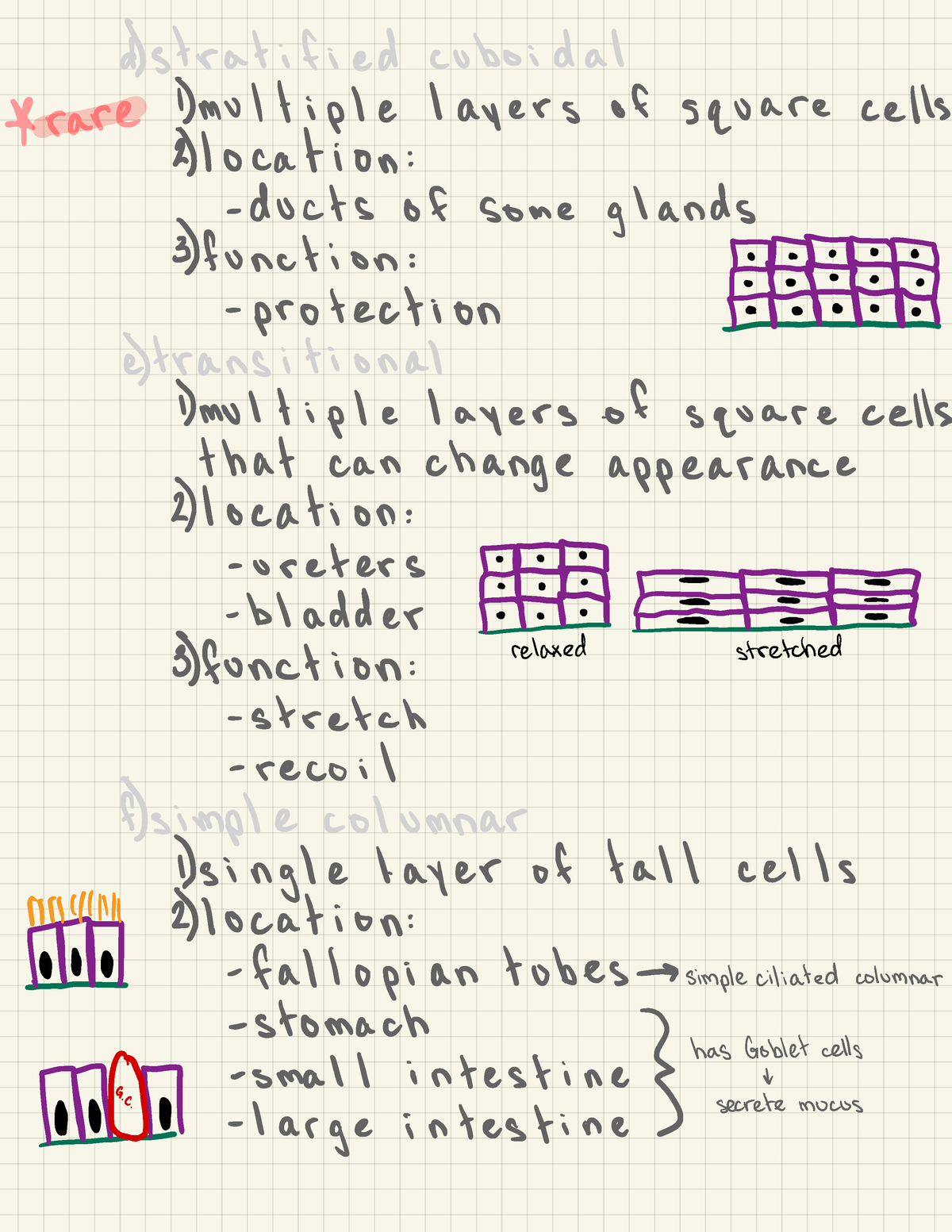 Anatomy And Physiology 1 - Bio231 - Studocu