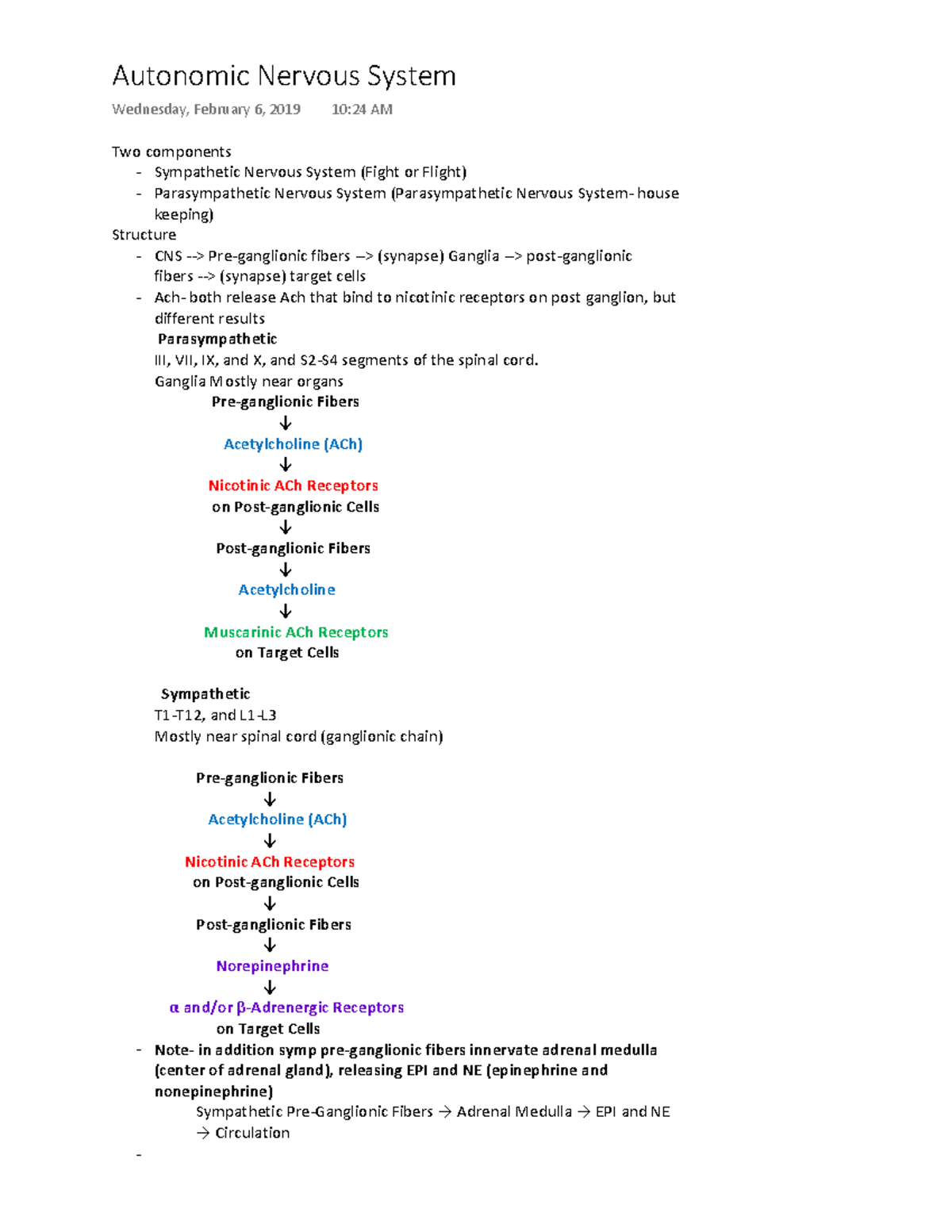 4 - Autonomic Nervous System - Two components - Sympathetic Nervous ...