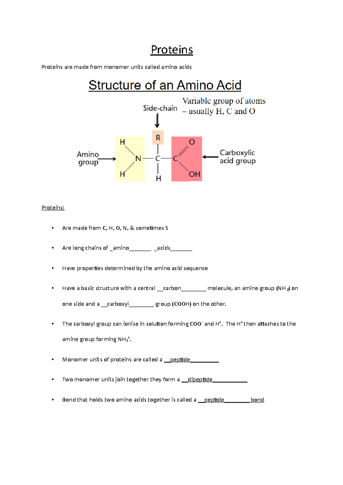 1. protein Notes for bio moleculessss Proteins Proteins are made from monomer units called
