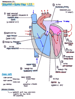 Pathophysiology - Patho notes - Deprecated API usage: The SVG back-end ...