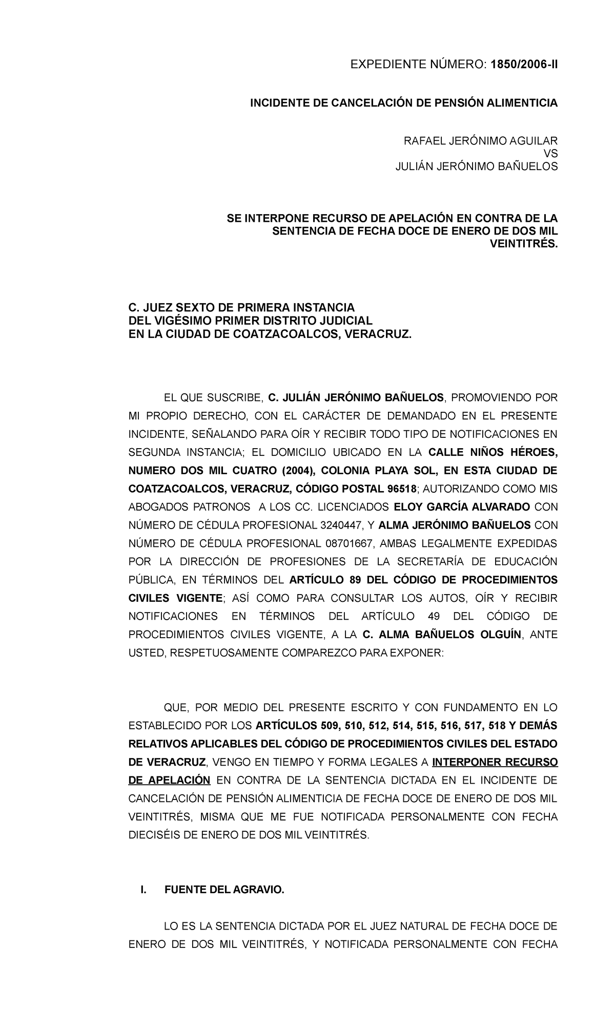 Apelacion Julian - Apelación alimentos - EXPEDIENTE NÚMERO: 1850/2006 ...