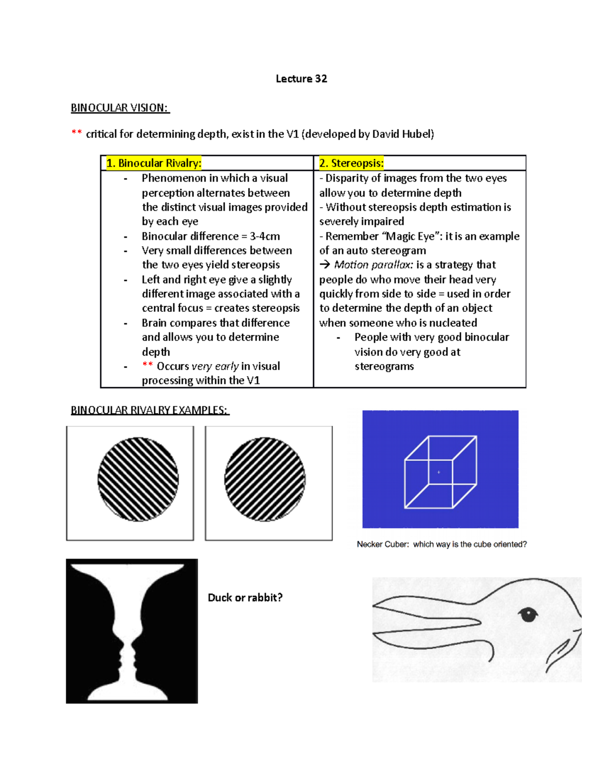 Lecture 32 Notes Lecture 32 BINOCULAR VISION ** critical for determining depth, exist in the