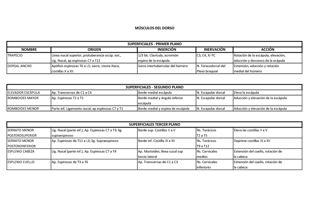 Dorso Cuadro de Músculos - NOMBRE ORIGEN INSERCIÓN INERVACIÓN ACCIÓN ...