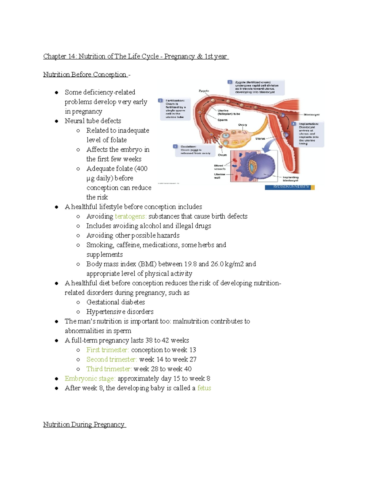 Week 11 (ch 14&15) - Nutrition Through Life Cycle - Chapter 14 