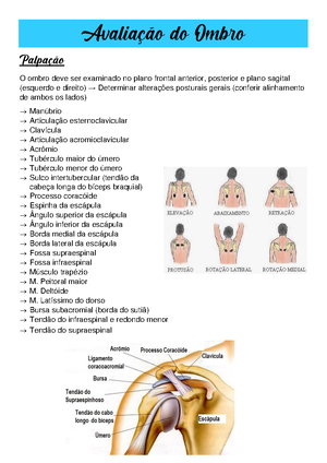 Quadril Roteiro Reformulado Roteiro De Aula Prtica Quadril Palpa