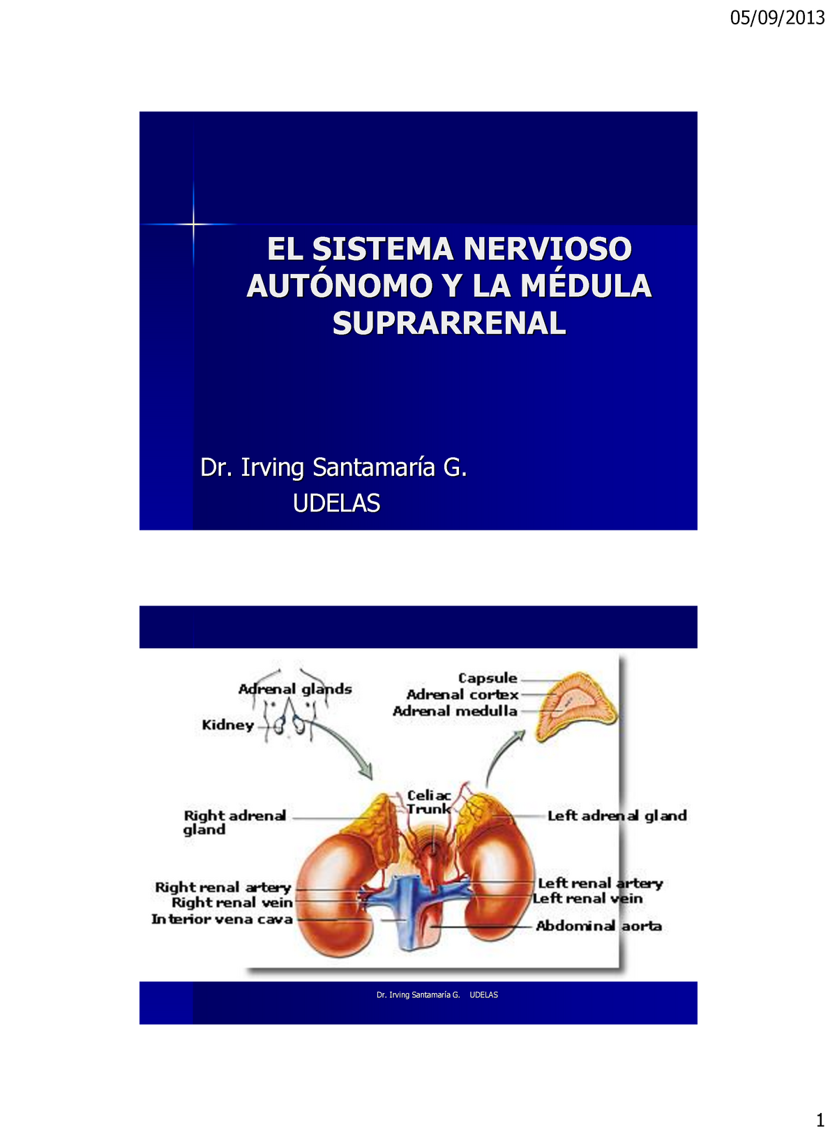 El Sistema Nervioso Aut Nomo Y La M Dula Suprarrenal El Sistema Nervioso Aut Nomo Y La M Dula