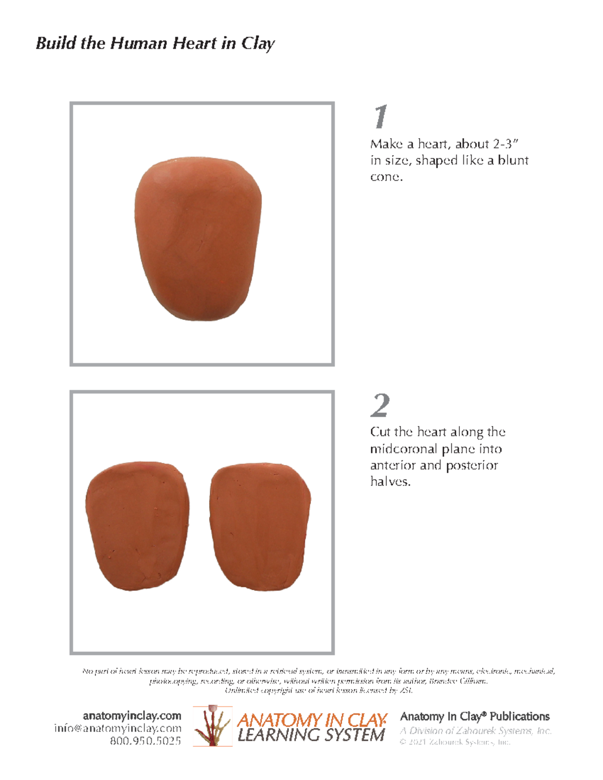 Anatomy in Clay (Heart) ANATOMY IN CLAY LEARNING SYSTEM