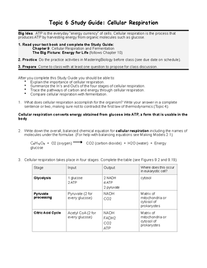 BIOL201 Lab W02 Applications with Micropipettes and Spectrophotometers ...