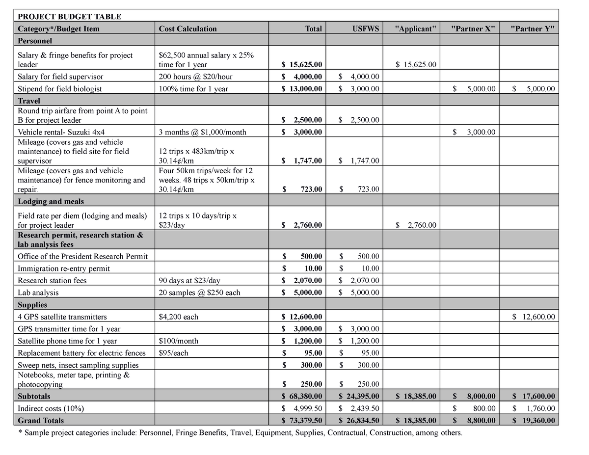 Project budget template 11 - PROJECT BUDGET TABLE Category*/Budget Item ...