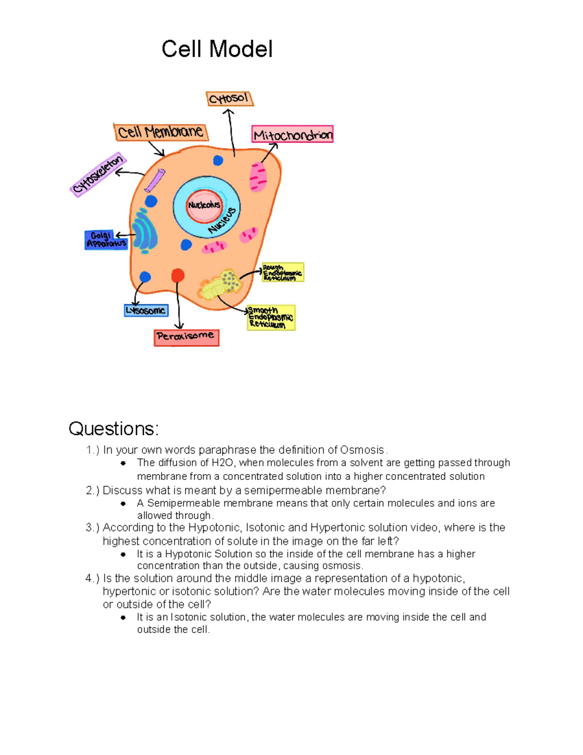 Is Your Solution Hypotonic, Hypertonic, Or Isotonic? Find Out Now! - gfed3zd