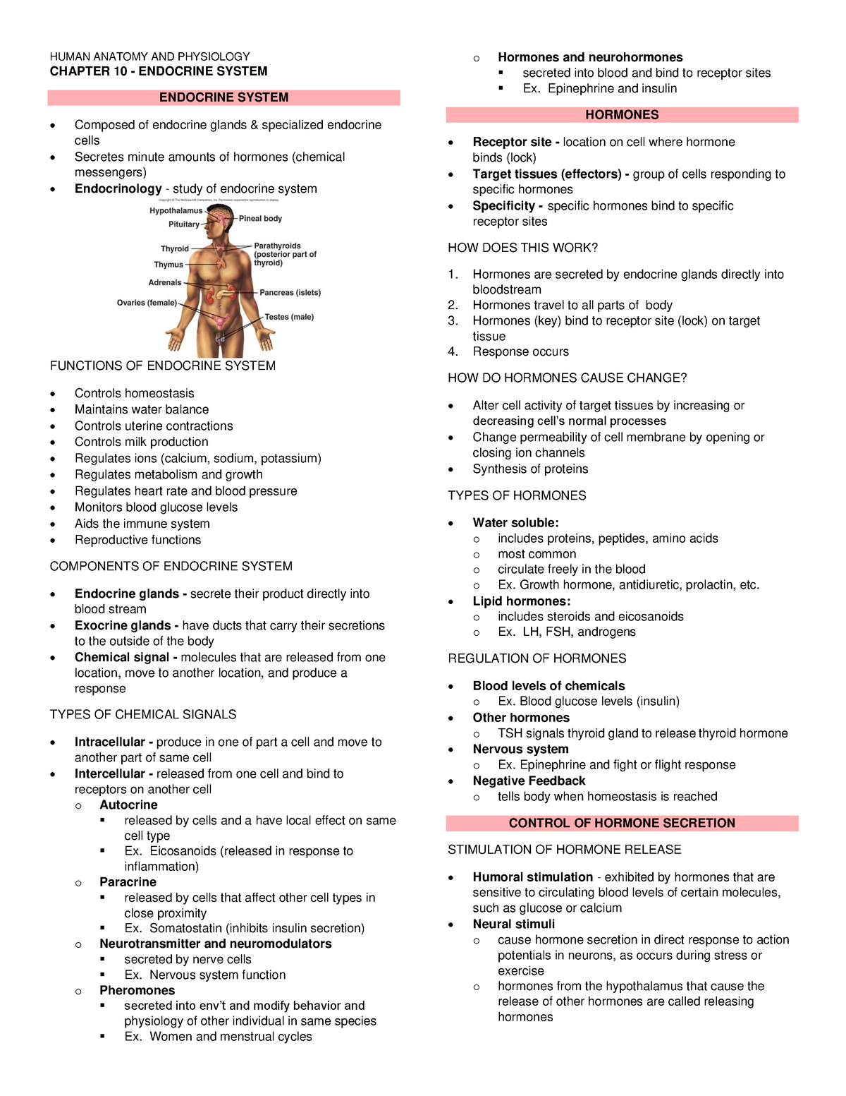 Anatomy and Physiology - 10 Endocrine System - Human Anatomy and ...