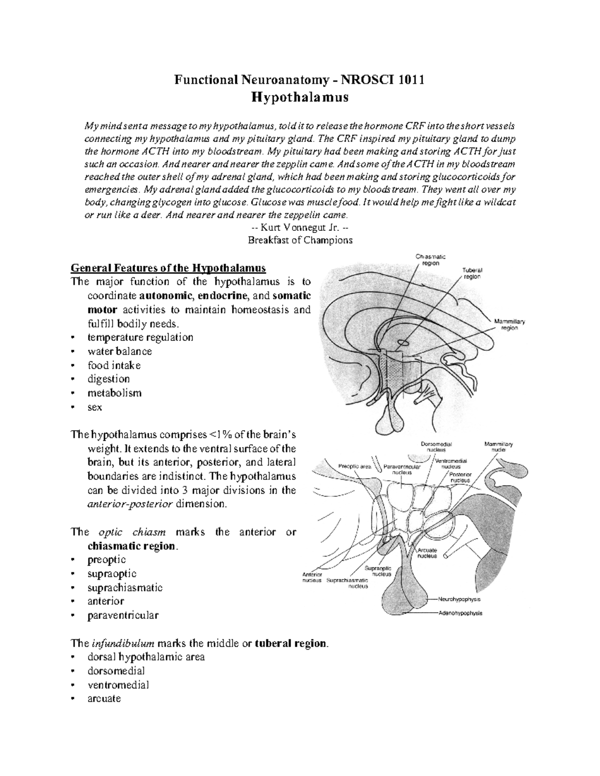 Hypothalamus Dr Sesack Functional Neuroanatomy Nrosci 1011 Hypothalamus My Mind Sent A 7442