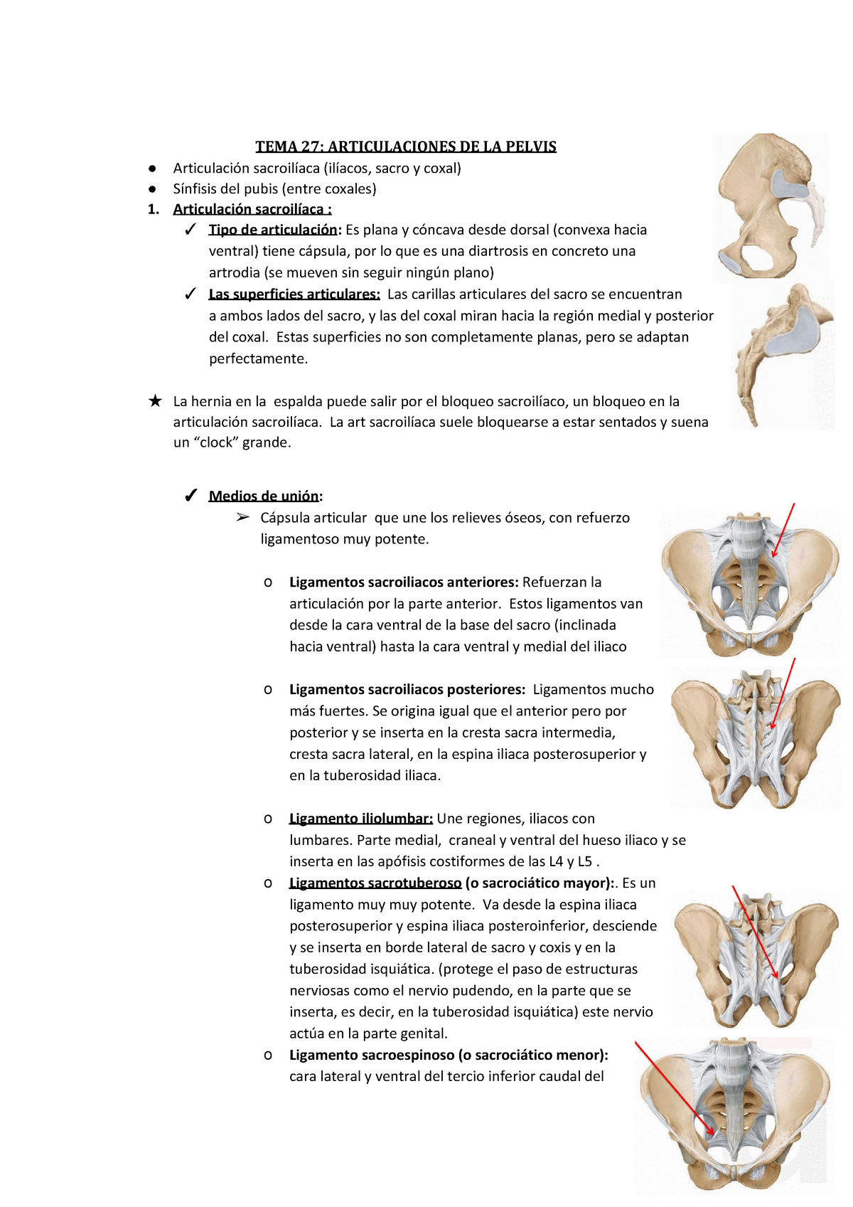 Articulaciones de la pelvis TEMA ARTICULACIONES DE LA PELVIS Articulación sacroilíaca