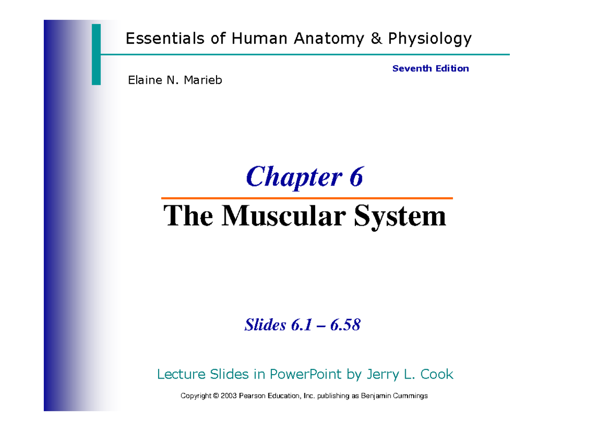 Chapter 6 jk - This is a simplified lecture materials for you to study ...