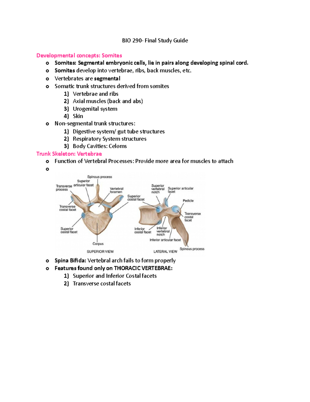 Final Review Guide - Specific information that was explicitly stated ...