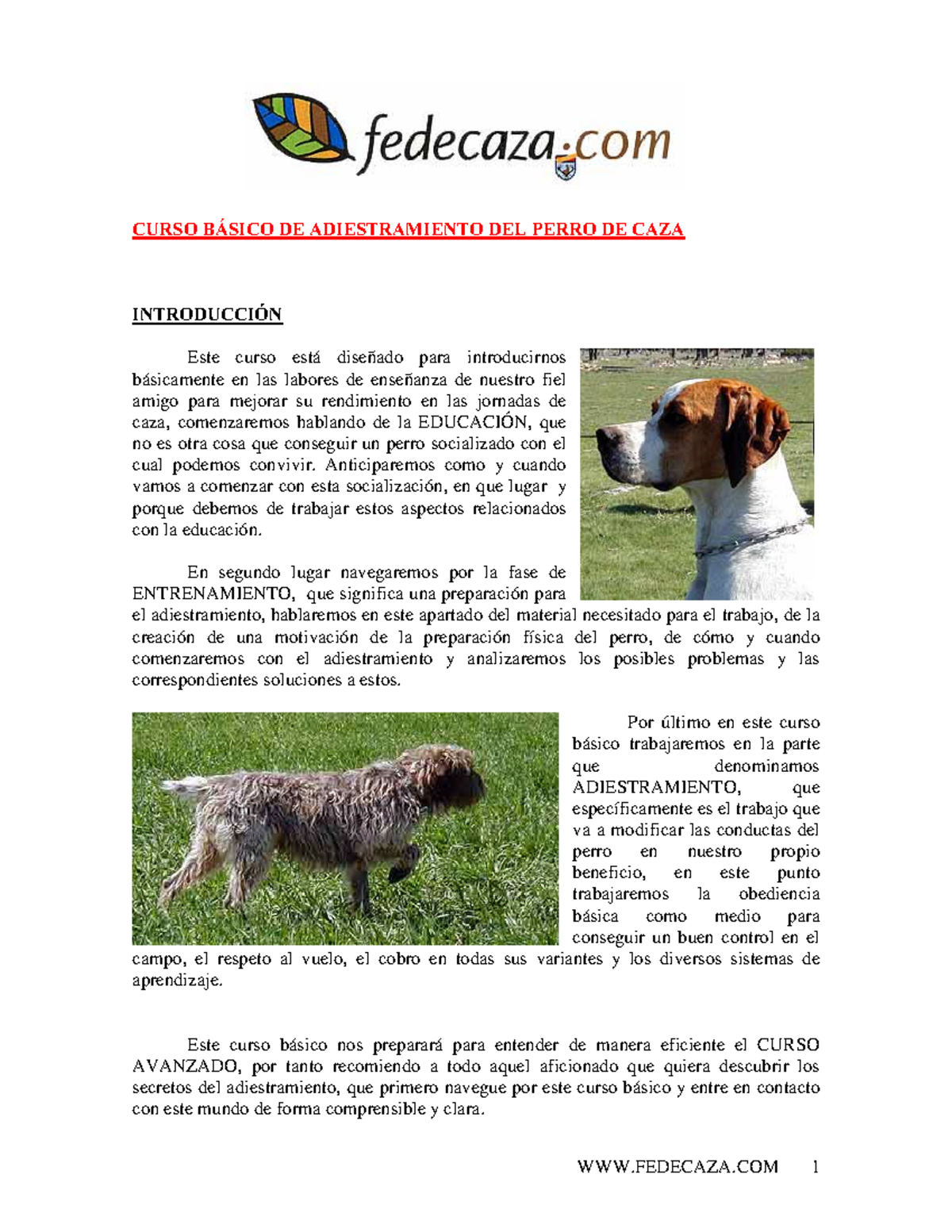 Palabras Para Adiestrar Un Perro En Ingles Curso basico adiestrar perros - 8VSTP 7ÈTD8P 9@ 69D@TUS6HD@IUP 9@G Q@SSP 9@  86a6 - StuDocu