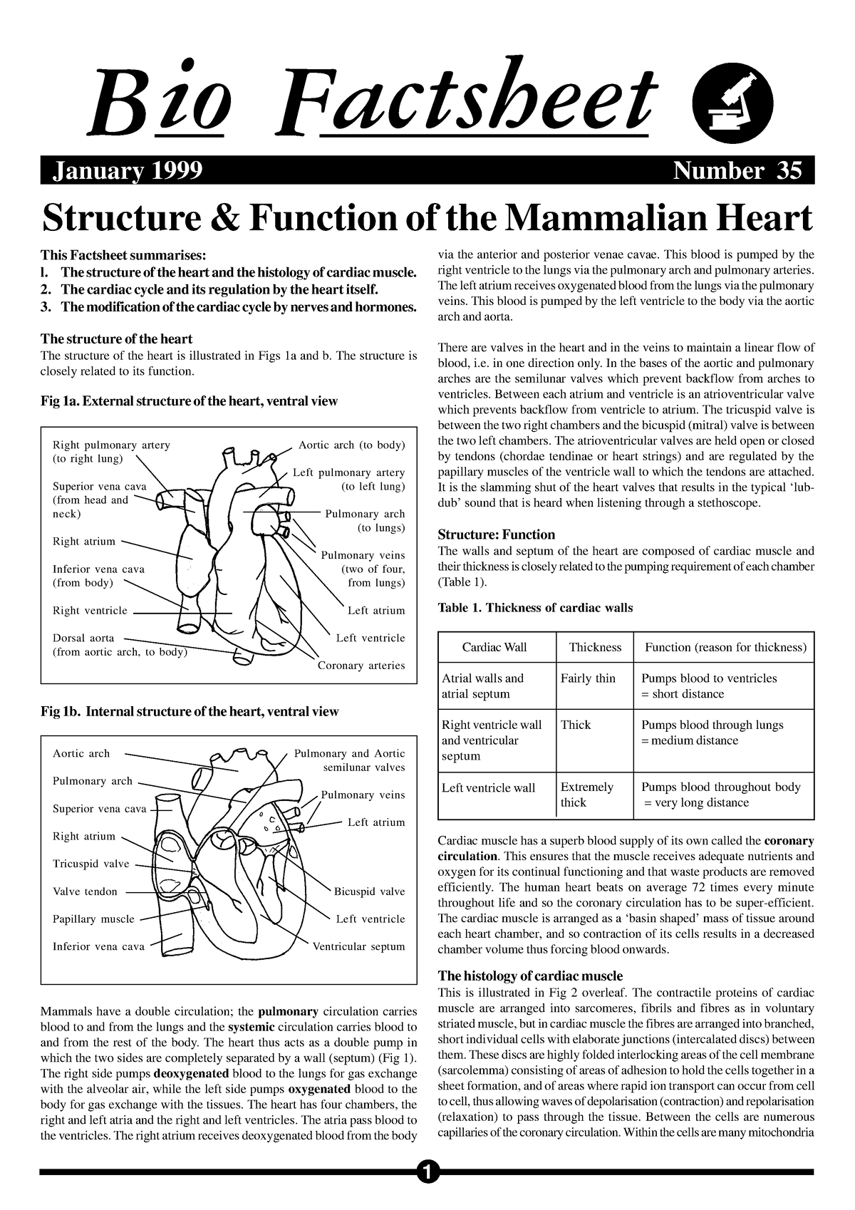 35-20mammalian-20heart-structure-function-of-the-mammalian-heart