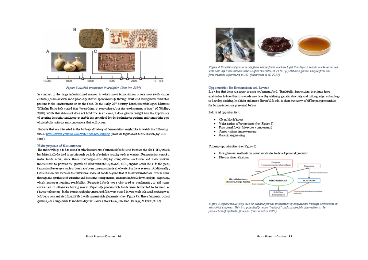 Fermentation chapter - Food Flavour Design - 54 Fermentation a natural ...
