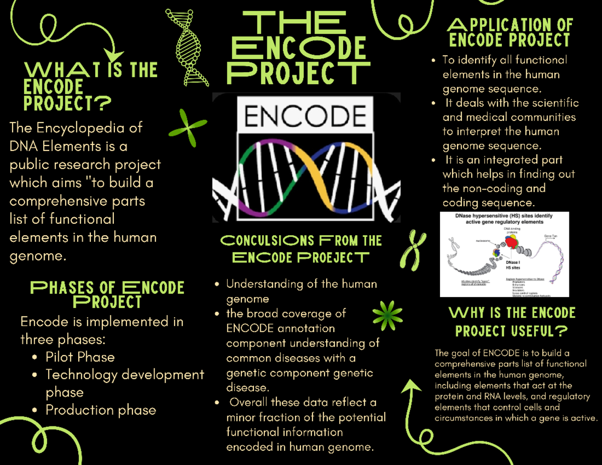 The Encode project - THE APPLICATION OF DE ENCODE PROJECT To identify ...