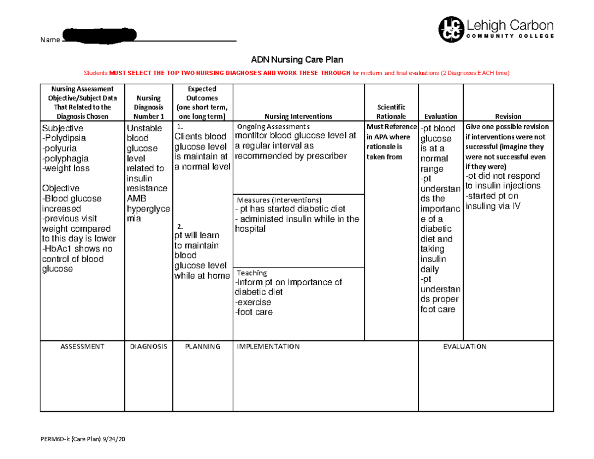 1 Nursing Care Plan Diabetic Care Plan Name PERM6D k Care Plan 9 