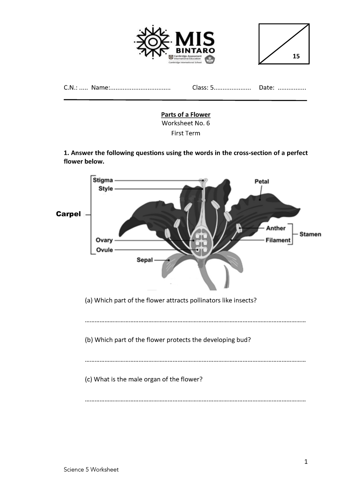 science-5-worksheet-6-parts-of-a-flower-to-ident-1-c-studocu