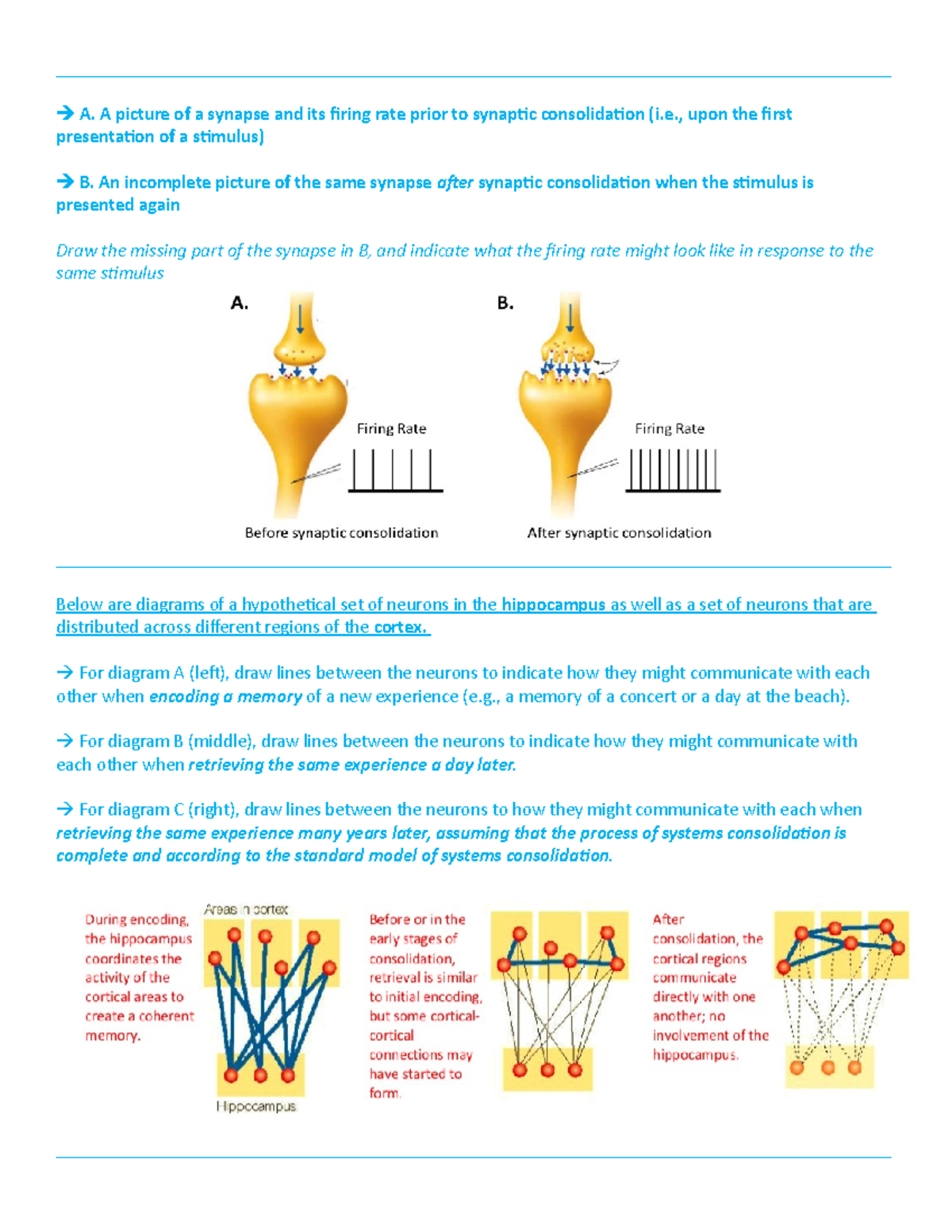 Exam 2 Review Answers - - Studocu