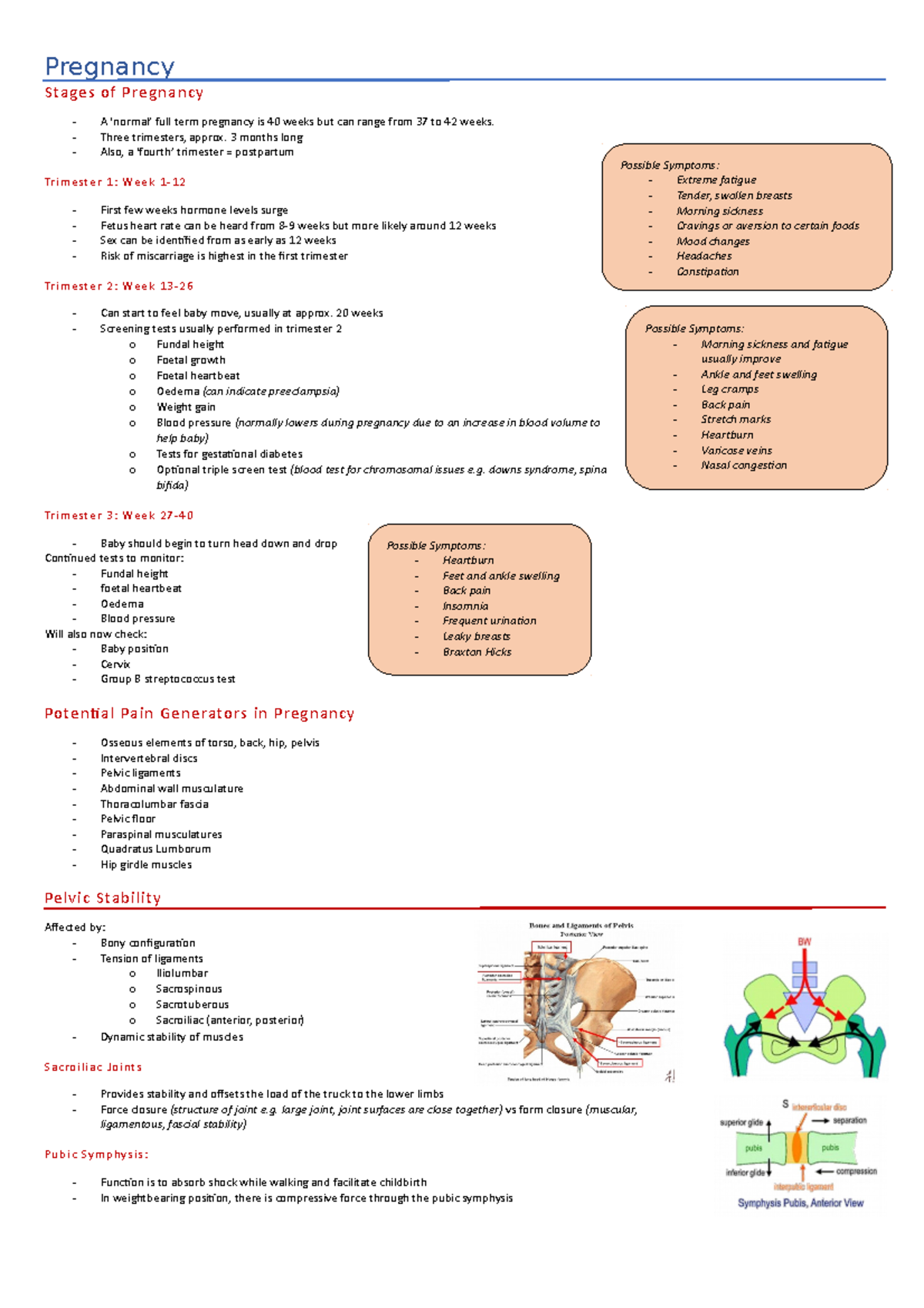 Pregnancy Notes - Pregnancy Stages of Pregnancy A ‘normal’ full term ...