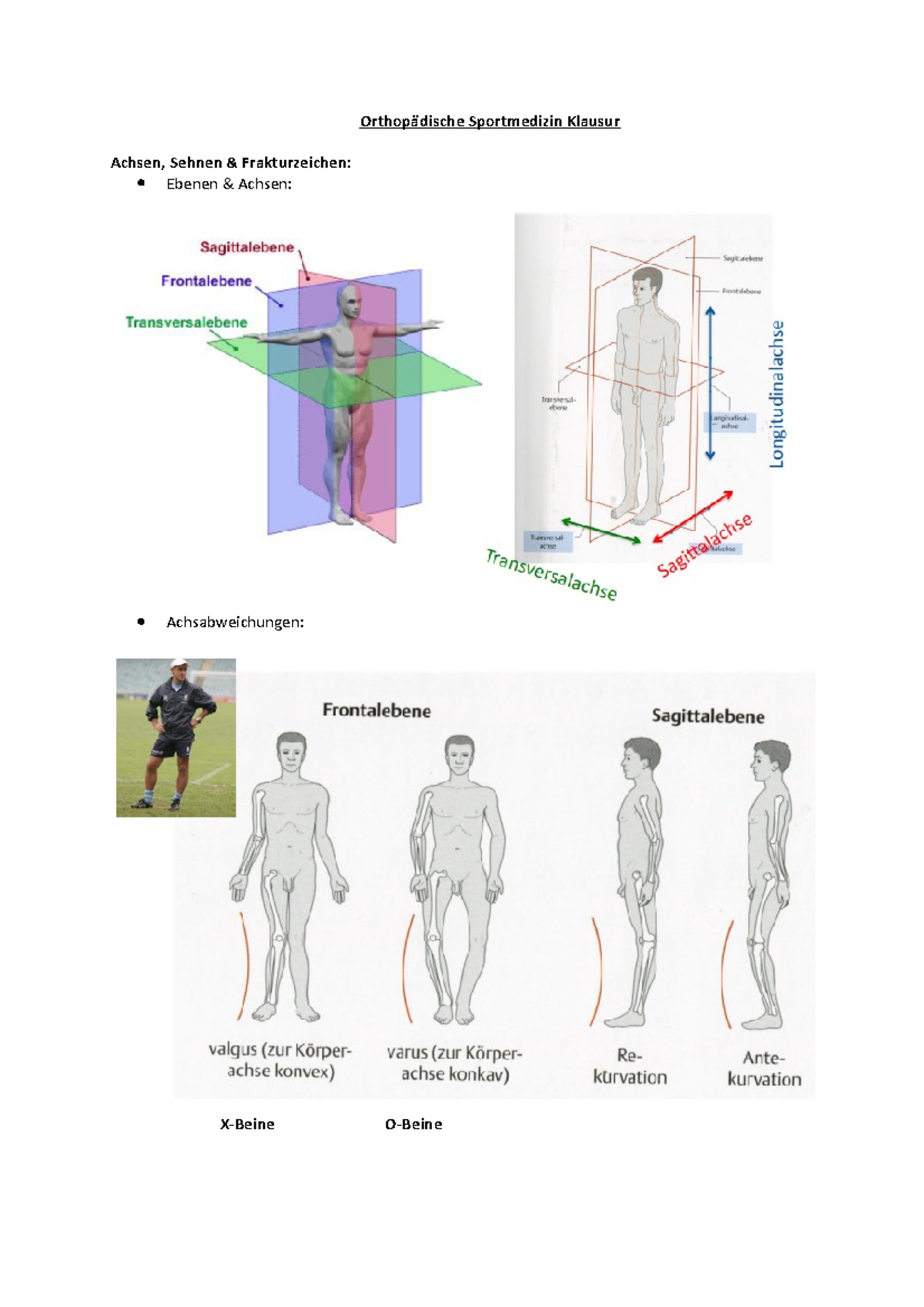 Orthopädische Sportmedizin - Orthopädische Sportmedizin Klausur Achsen ...