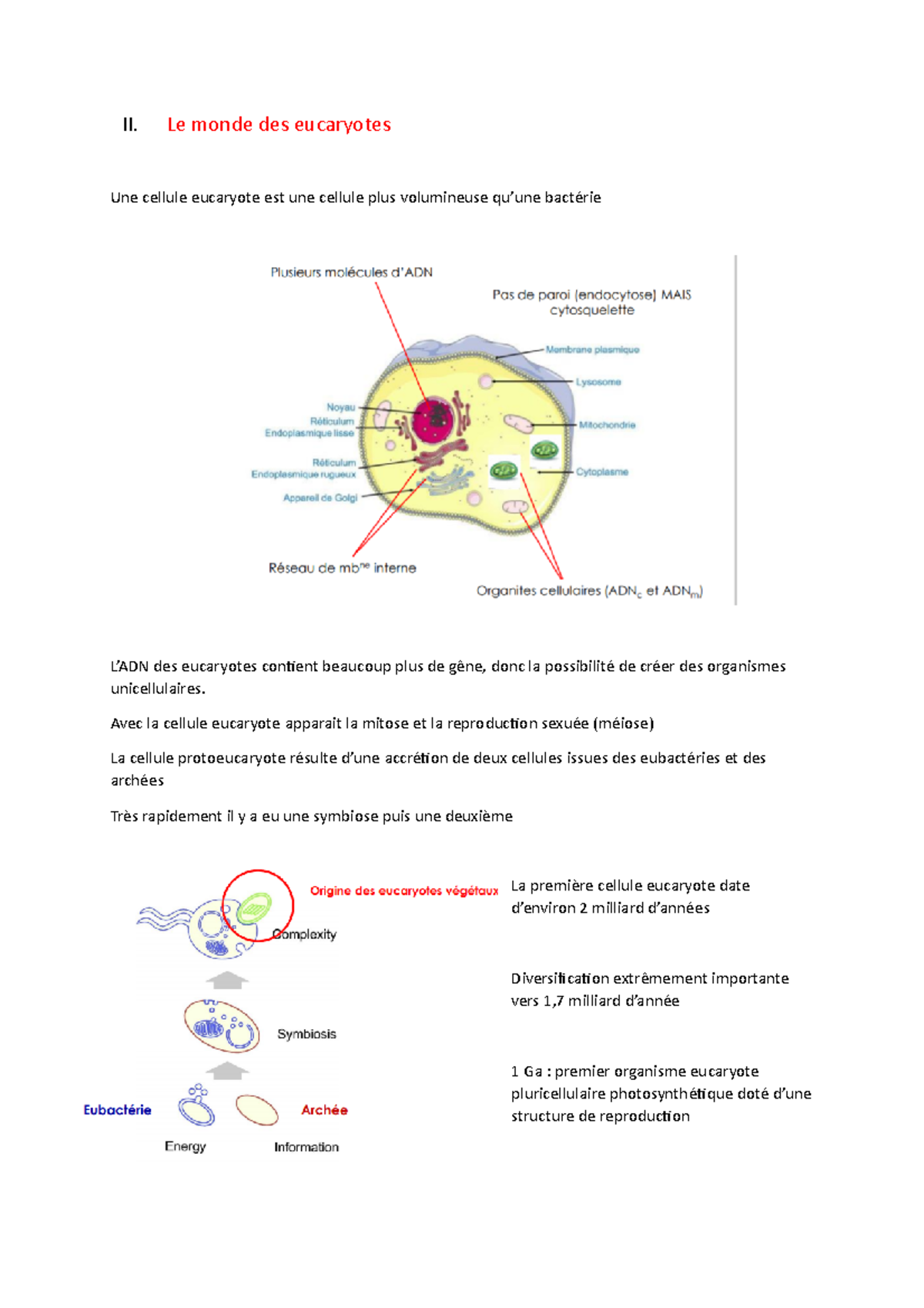 2. Le monde des eucaryotes - II. Le monde des eucaryotes Une cellule ...