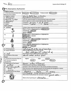 Element compound mixture handout 1nscoo 6 - ILS Elements, Compounds ...