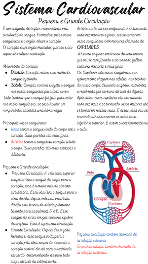 Generalidades e Sistema Osteomioarticular DESCRIÇÃO Elementos