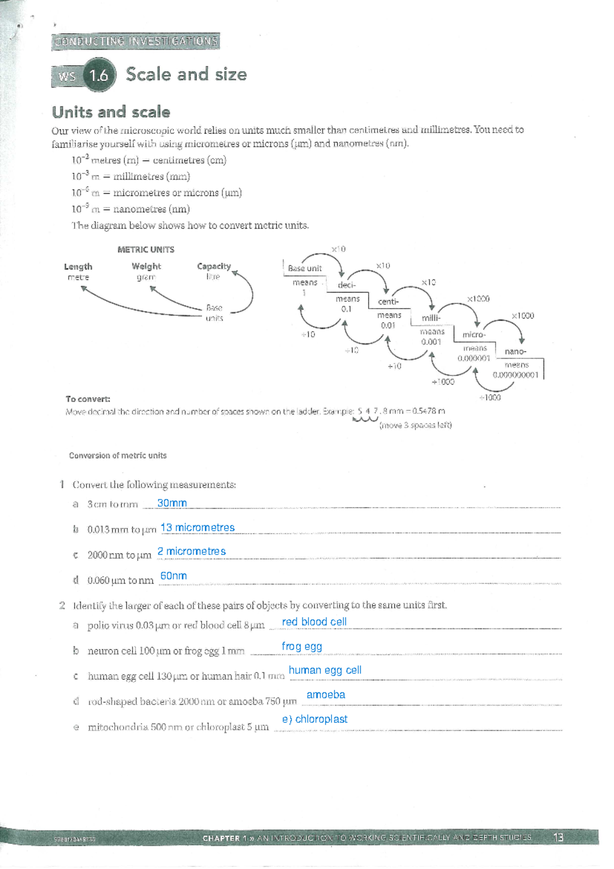 Worksheet 1.6 - Scale and size - Studocu