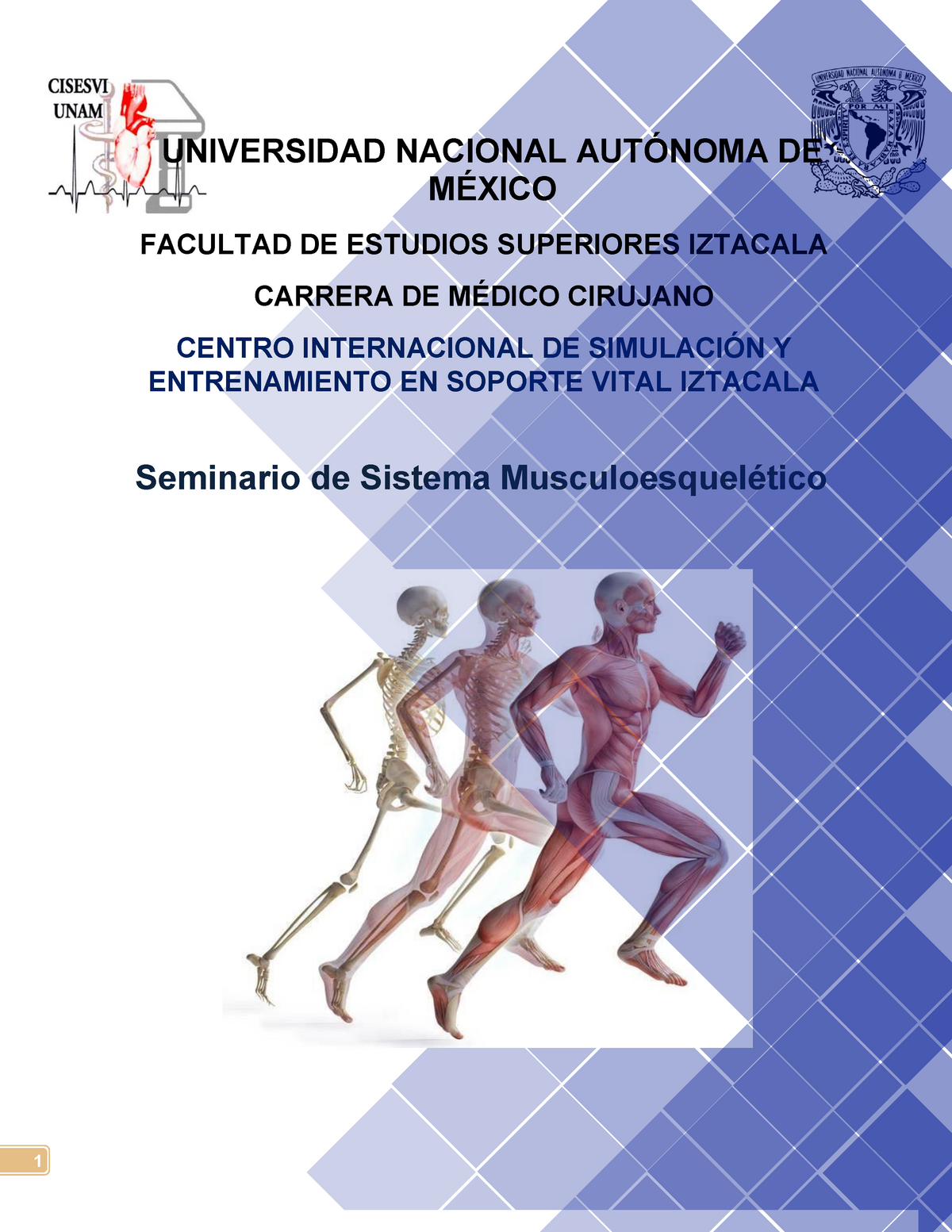 Sistema Musculoesquletico. PDF - FACULTAD DE ESTUDIOS SUPERIORES ...