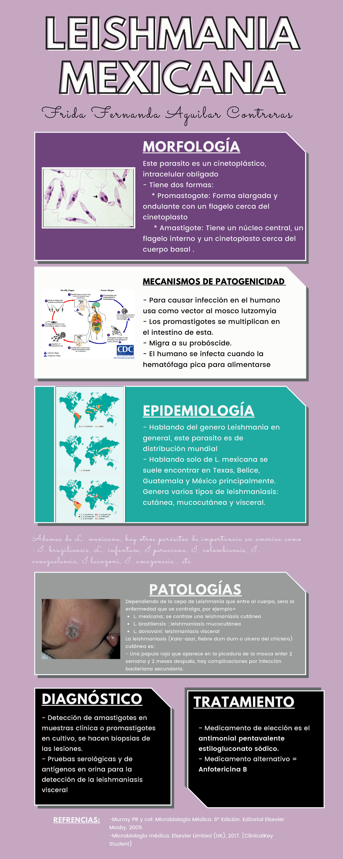 morfología de leishmania donovani