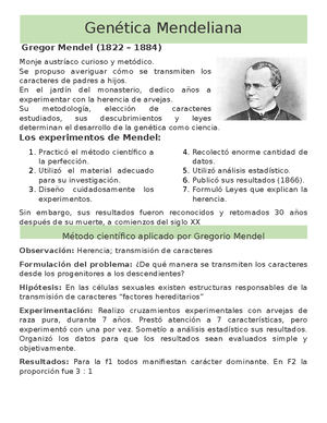 Genética Mendeliana - Genética Mendeliana Gregor Mendel (1822 – 1884) Monje  austríaco curioso y - Studocu