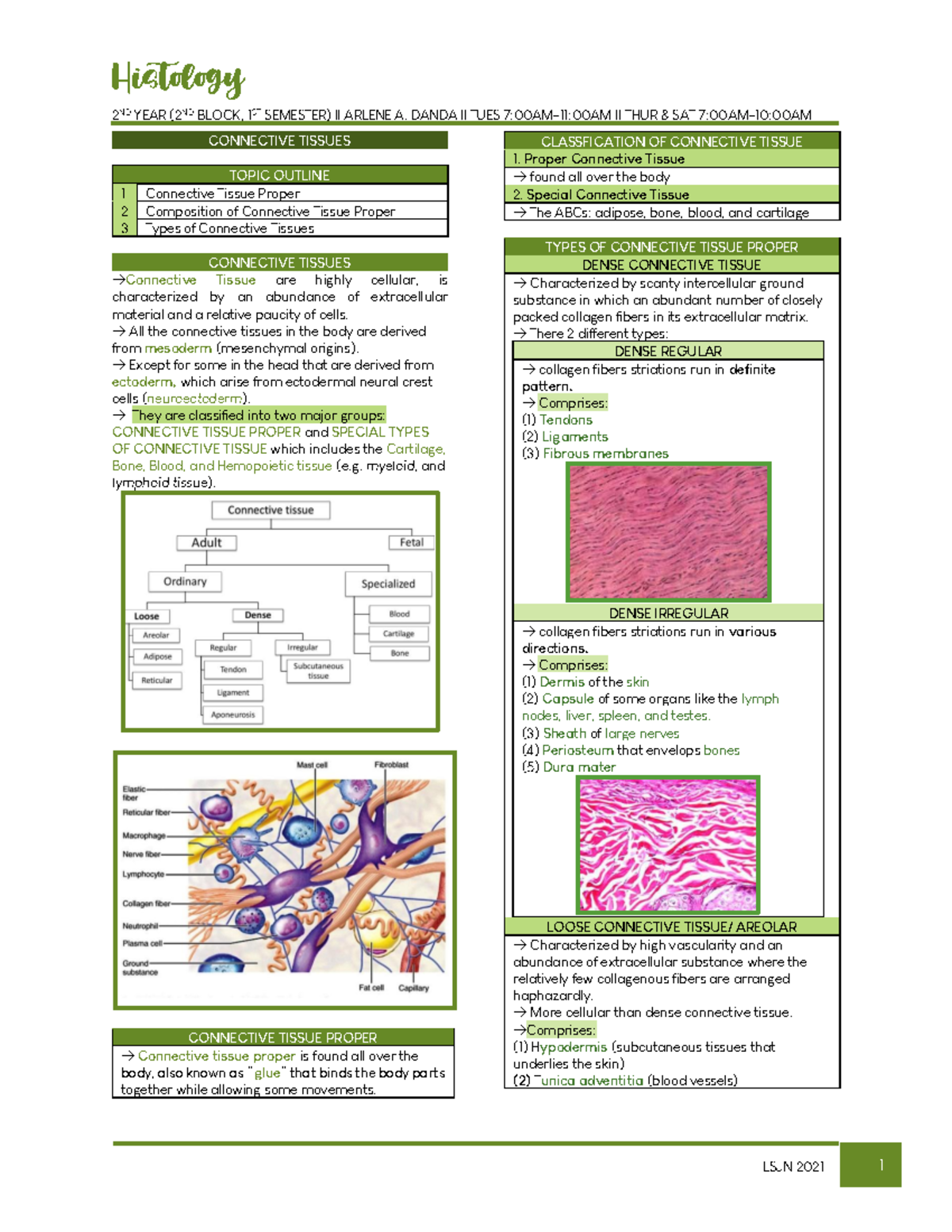 Connective Tissues - HISTOLOGY - 2 ND YEAR (2ND BLOCK, 1ST SEMESTER ...