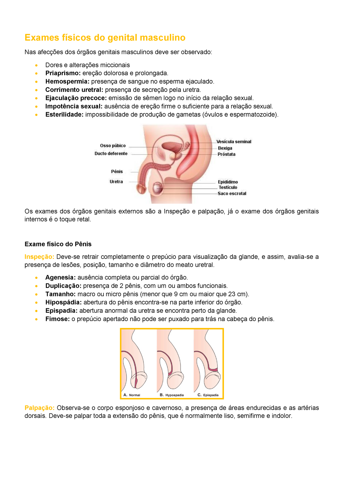 Exame Físico Do Genital Masculino Exames Físicos Do Genital Masculino Nas Afecções Dos órgãos 4286