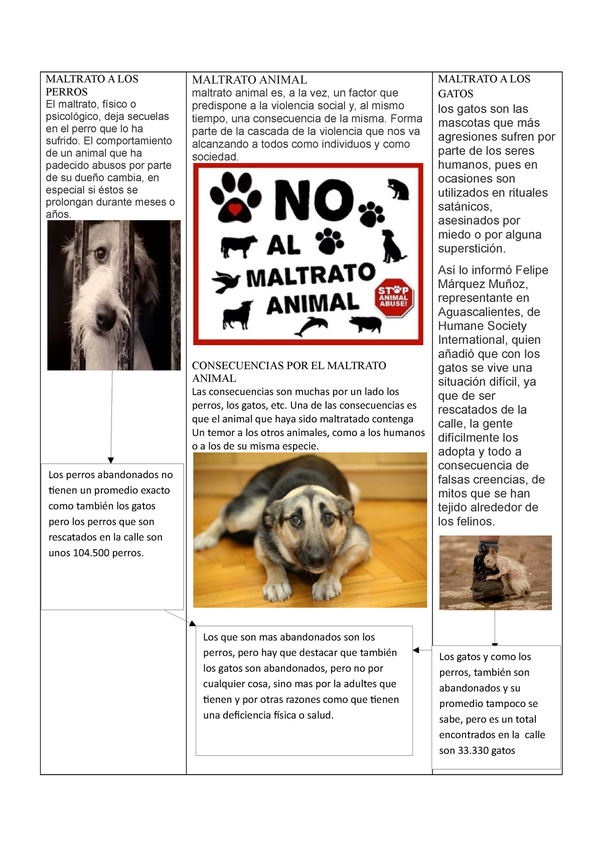 Maltrato Animal infografia - MALTRATO A LOS PERROS El maltrato, físico o  psicológico, deja secuelas - Studocu