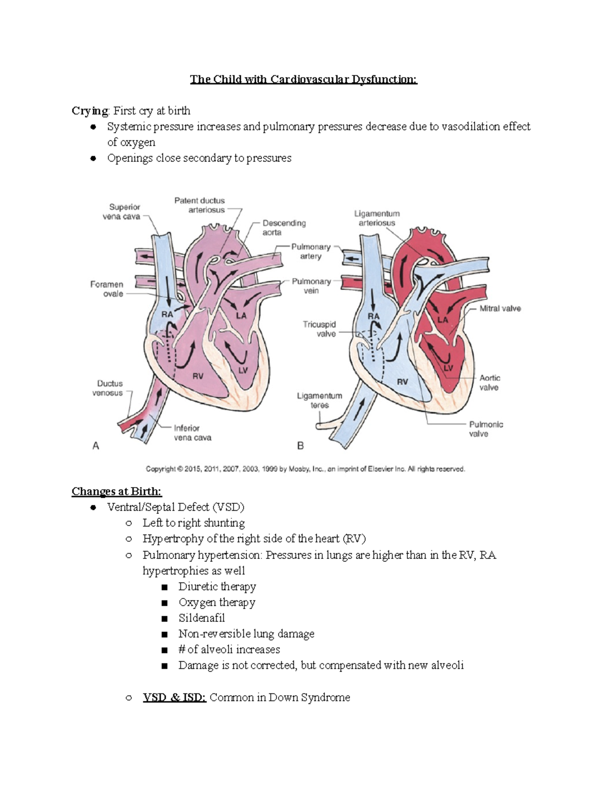 Chapter 23 The Child with Cardiovascular Dysfunction - The Child with ...