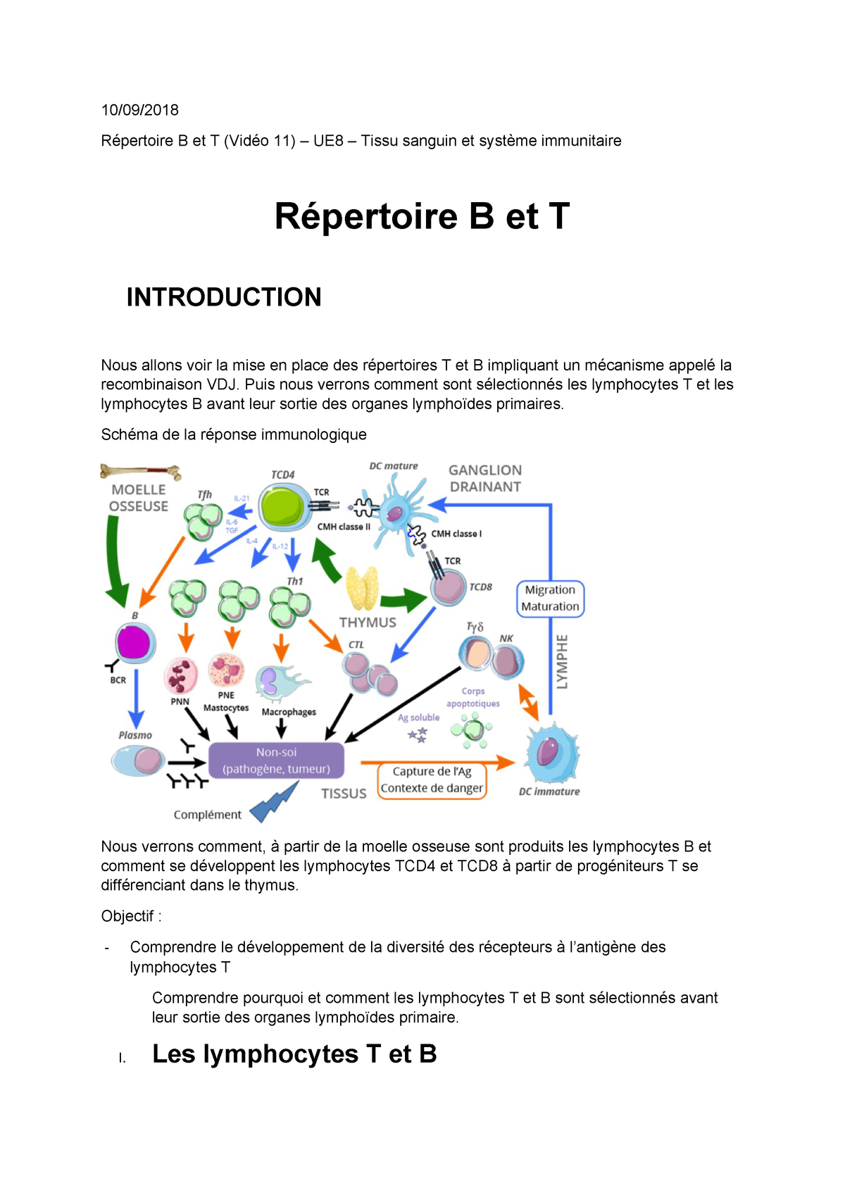 Repertoire B Et T Immunologie Studocu