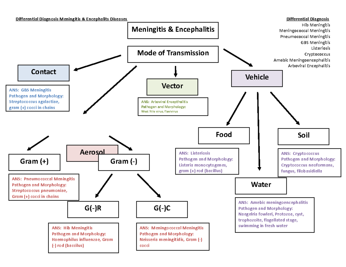 Chapter 22 CNS Diff Diagnosis Differential Diagnosis Meningitis & Encephalits Diseases Studocu
