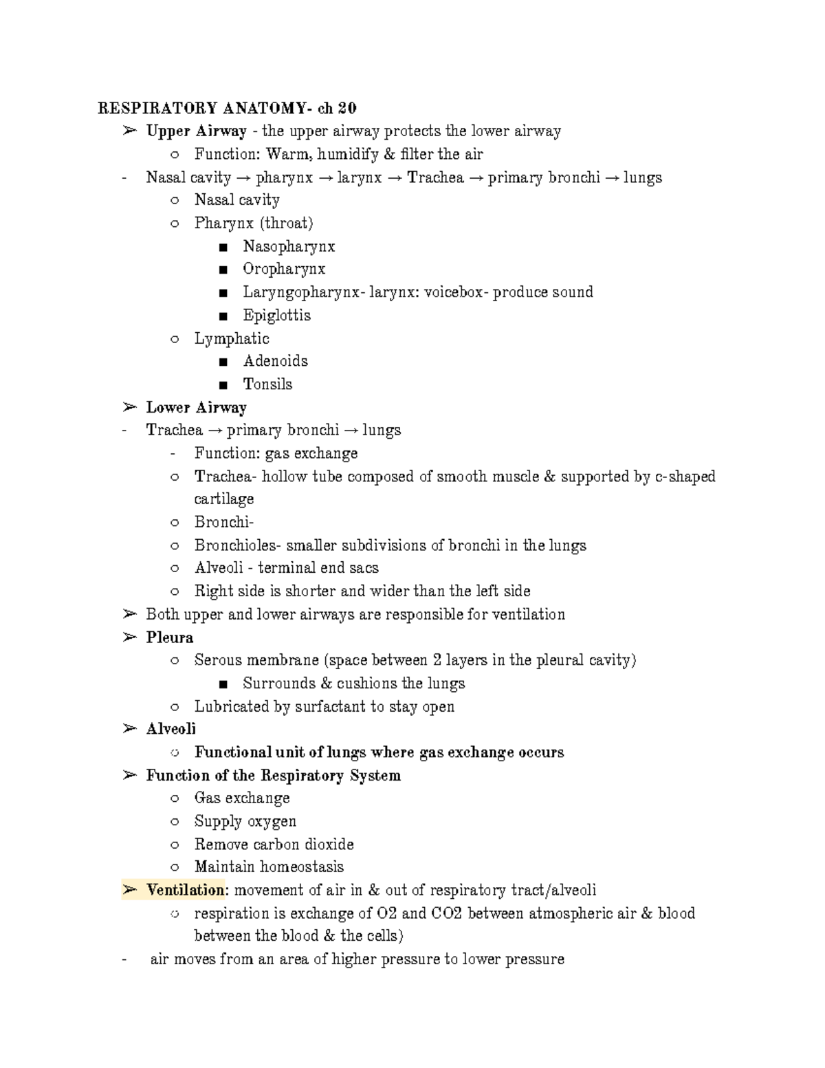 232 (226) Exam 1 Respiratory RESPIRATORY ANATOMY ch 20 Upper Airway