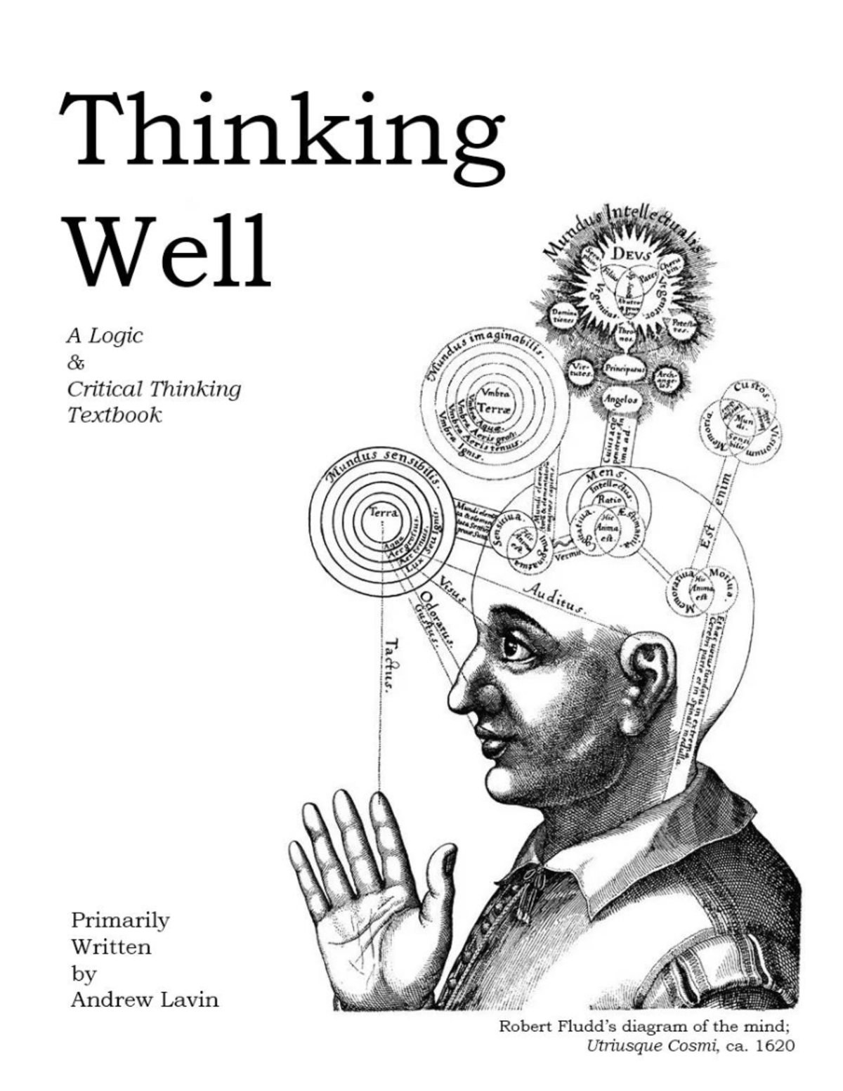 thinking-well-lavin-edition-2-copy-thinking-well-a-creative-commons-logic-and-critical