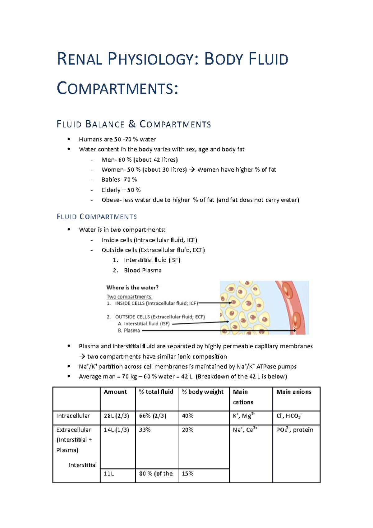 physiology body fluid compartments