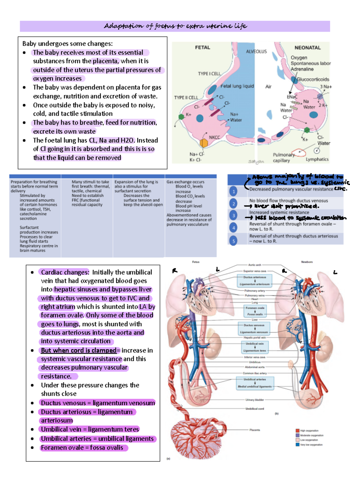 Block 9 Neonatology Conditions - Adaptation of foetus to extra uterine ...