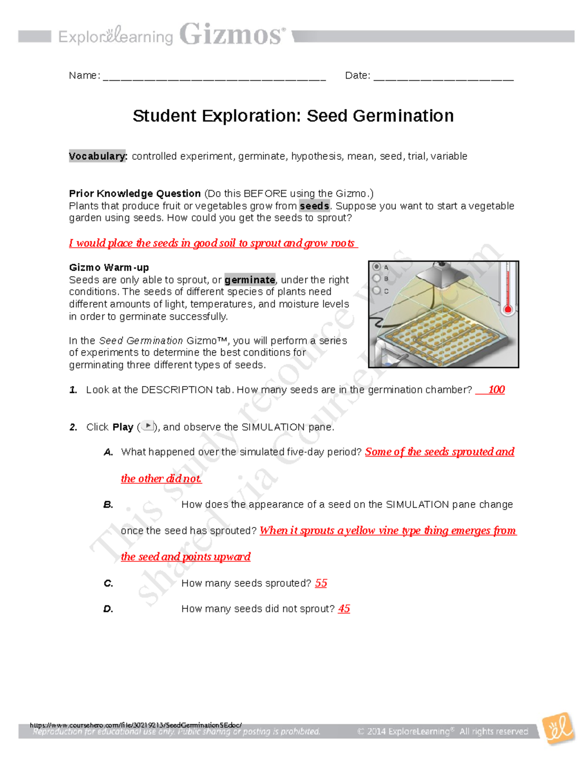 Seed Germination SE.doc Name