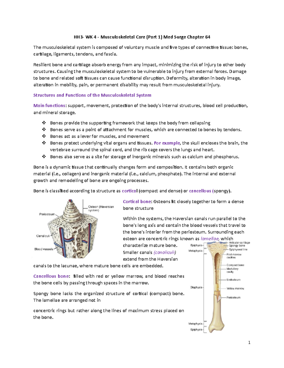 HH3-WK 4- Musculosketal Care (part 1) - HH3- WK 4 - Musculoskeletal ...