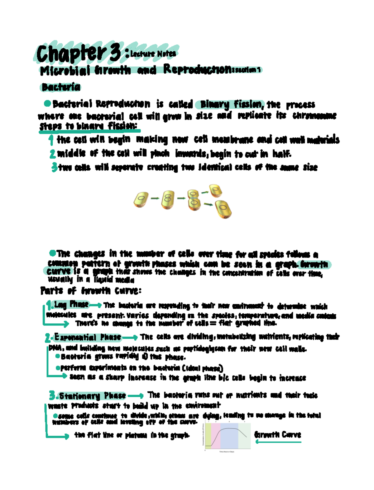 Chapter 3 Lecture Notes - Chapter 3 Lecturenotes Microbial Growth And ...