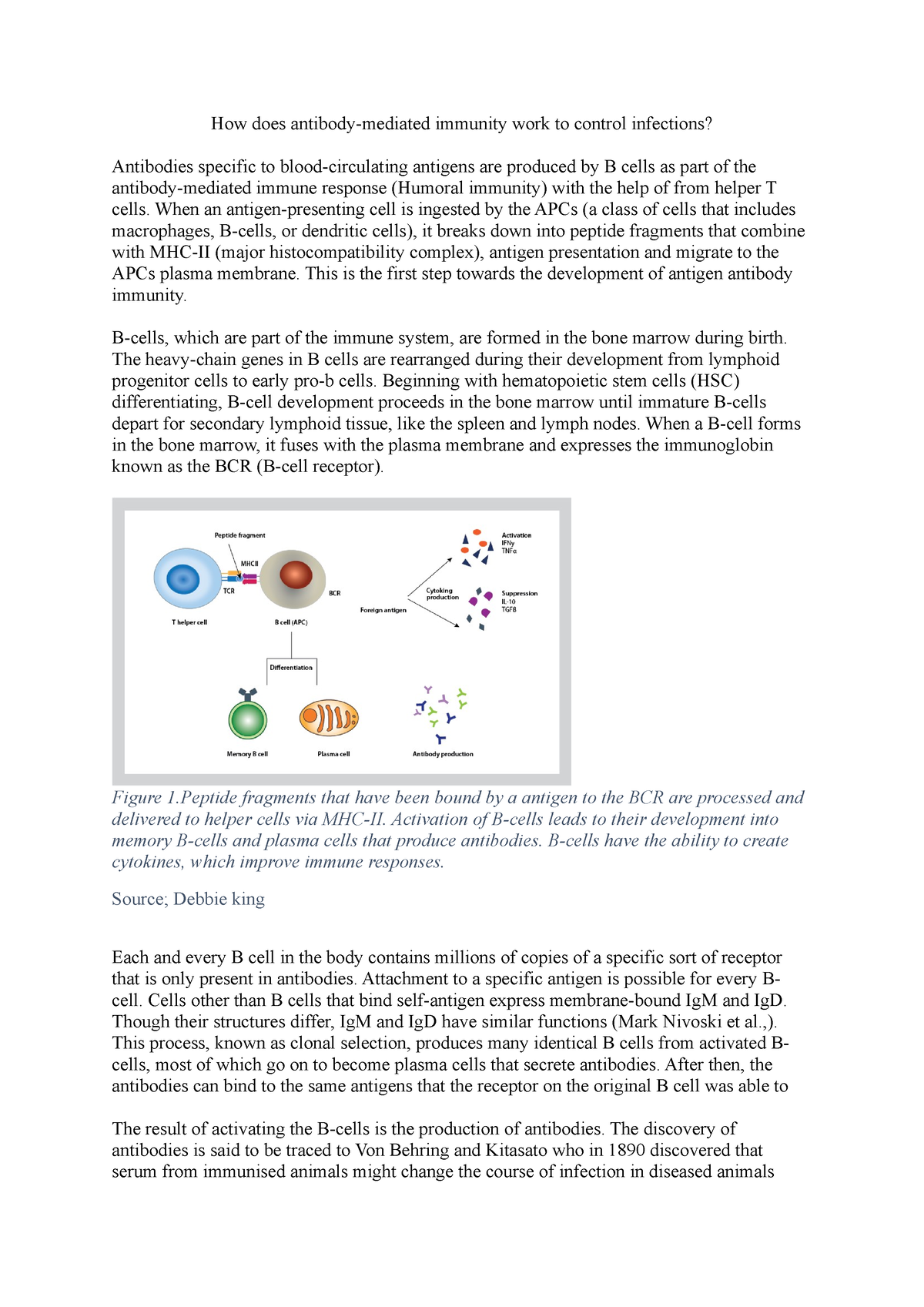 write a long essay about immune system