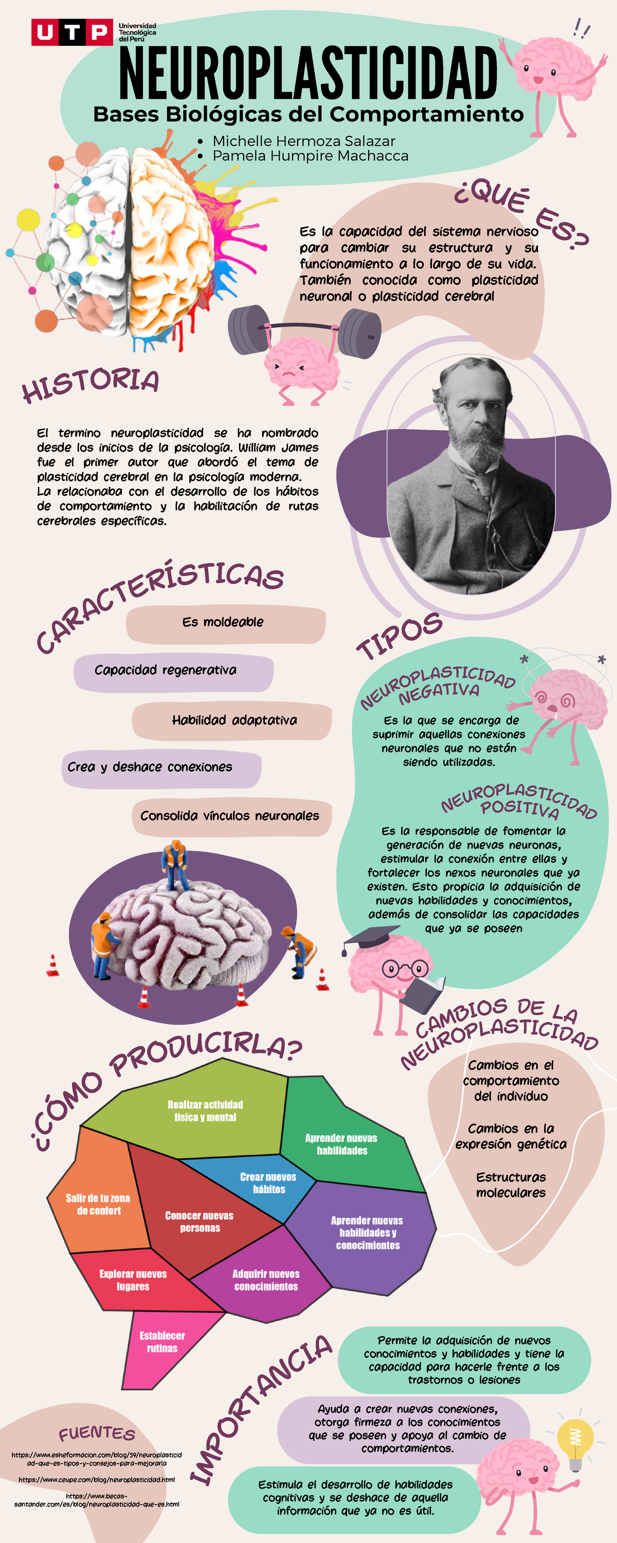 Tarea AcadéMICA 1 - Neuroplasticidad InfografíA - El Termino ...